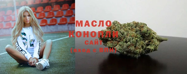 дживик Бронницы