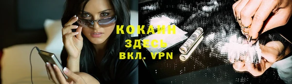 крисы Бугульма