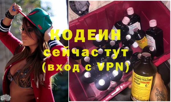 дживик Бронницы
