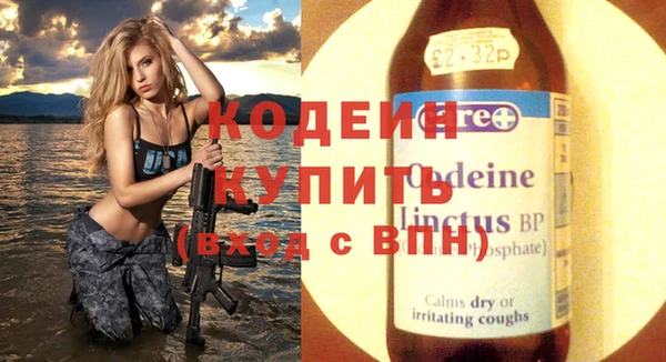 дживик Бронницы