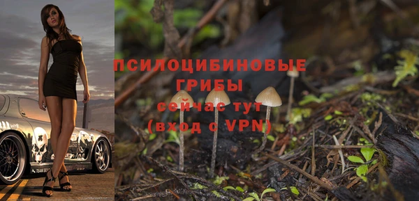 ECSTASY Сосновоборск