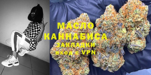 прущие грибы Сосновый Бор