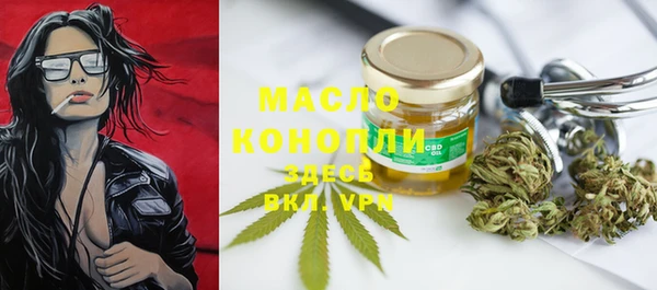 таблы Бородино