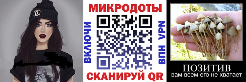 где найти наркотики  blacksprut рабочий сайт  Галлюциногенные грибы MAGIC MUSHROOMS  Медногорск 